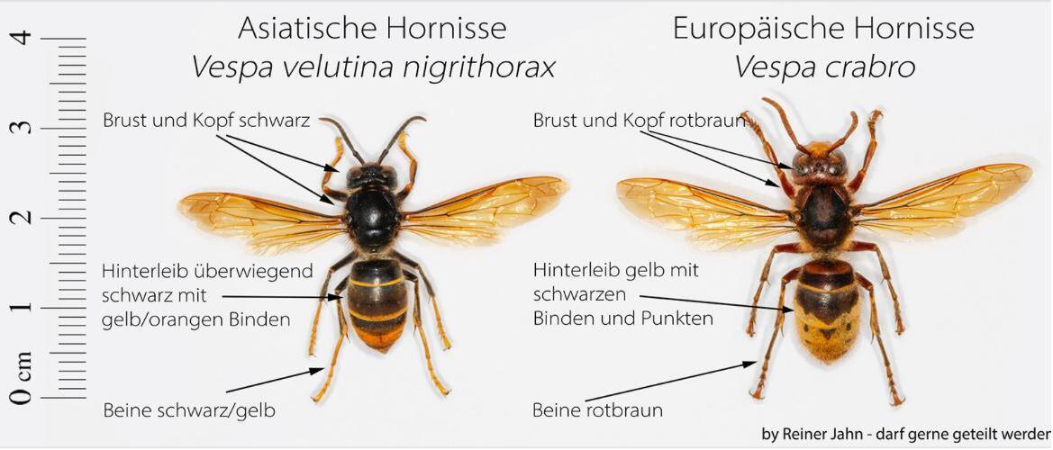 4300907f-6fd4-40d4-a2f0-36f133b251c3